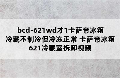 bcd-621wd才1卡萨帝冰箱冷藏不制冷但冷冻正常 卡萨帝冰箱621冷藏室拆卸视频